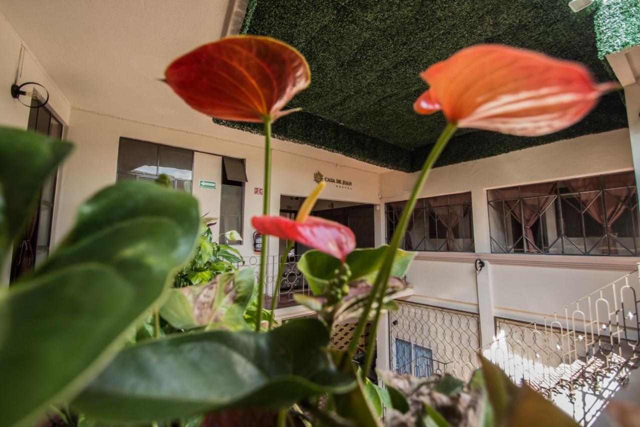 Casa De Juan Hostal Xalapa Extérieur photo